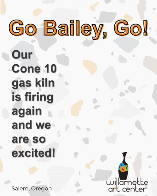Go, Bailey, Go! Our Cone 10 gas kiln is firing again, and we are so excited!