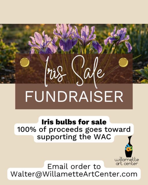 Buy some bulbs and support the WAC!Email an order or stop by tomorrow, Saturday Sept 19th between 11 and 3 pm to pick some bulb for your garden. 100% of proceeds go directly to the WAC.#willametteartcenter #fundraiser #whatshappeningsalem #salemoregon #ceramicstudio